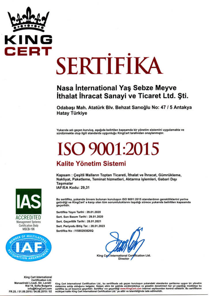 ISO 9001 TURKCE